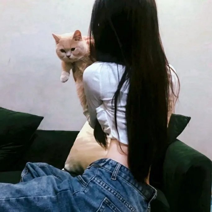 瞒天过海2:长驱直入